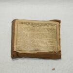 Miniature Principale